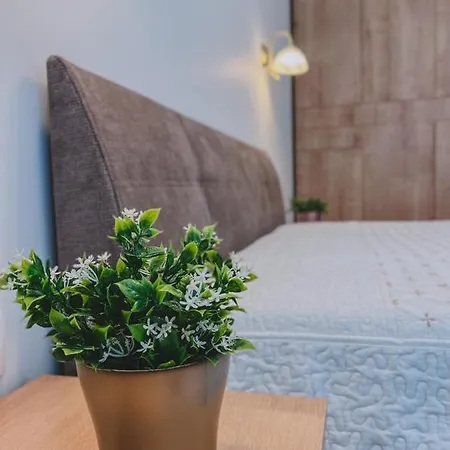 The Park Apartment *