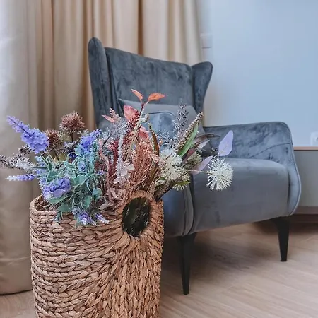 The Park Apartment